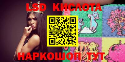 Альфа ПВП Кандалакша
