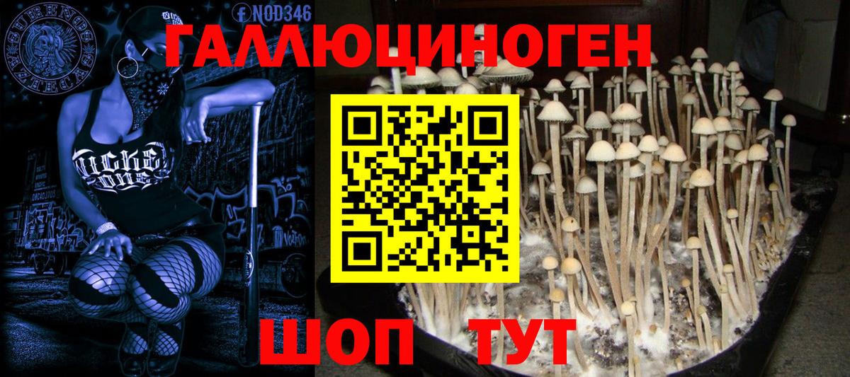 Крымск  Галлюциногенные грибы Psilocybine cubensis  Вход с VPN  Псилоцибиновые грибы GOLDEN TEACHER 